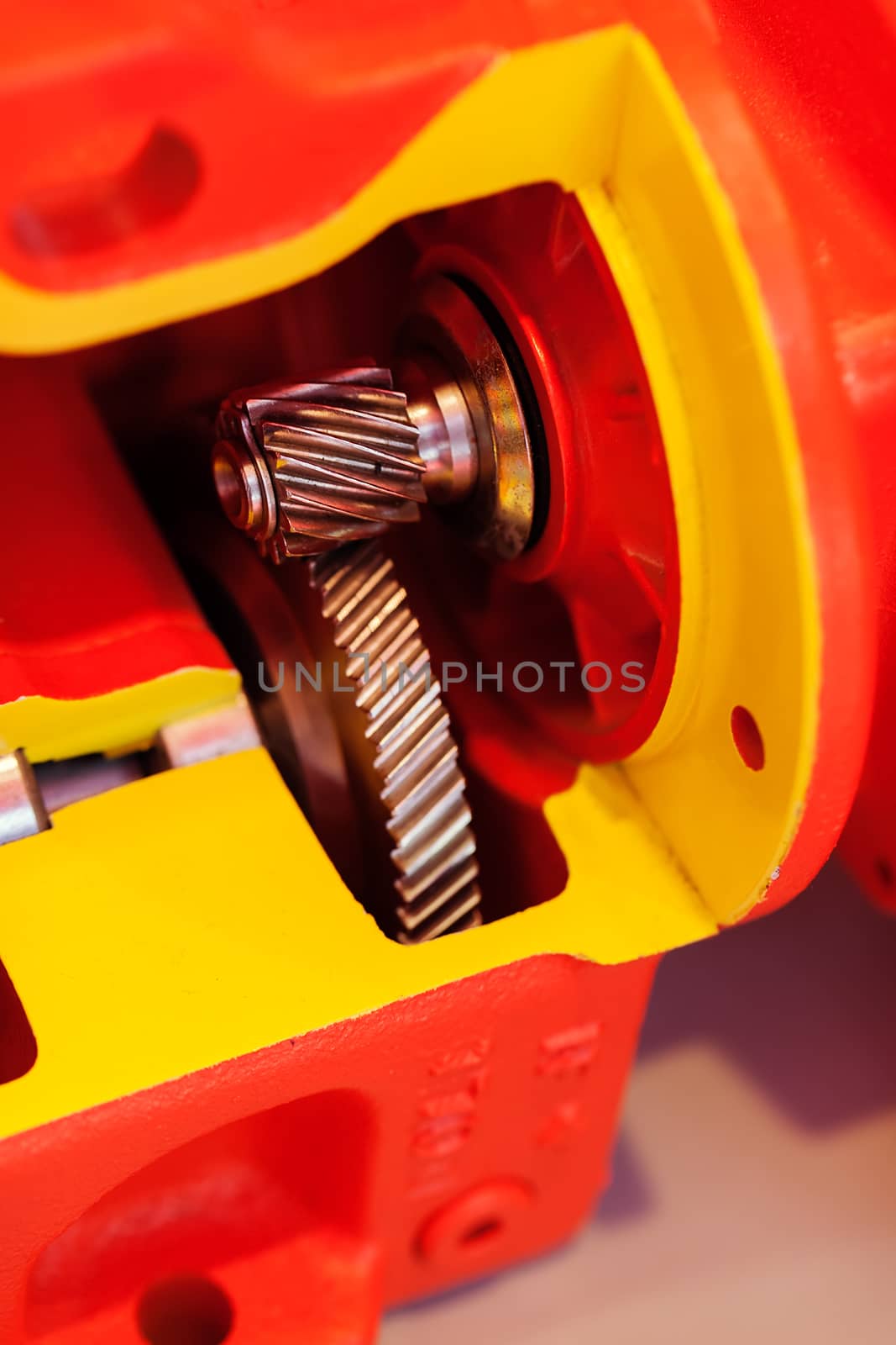 section of vertical gear unit with cylindrical gears, note shallow depth of field