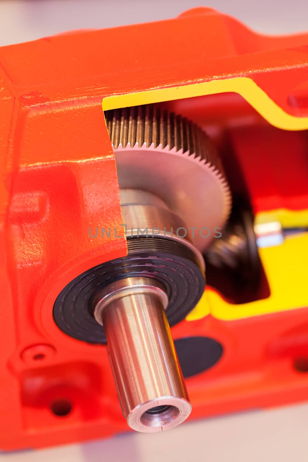 section of vertical gear unit with cylindrical gears, note shallow depth of field