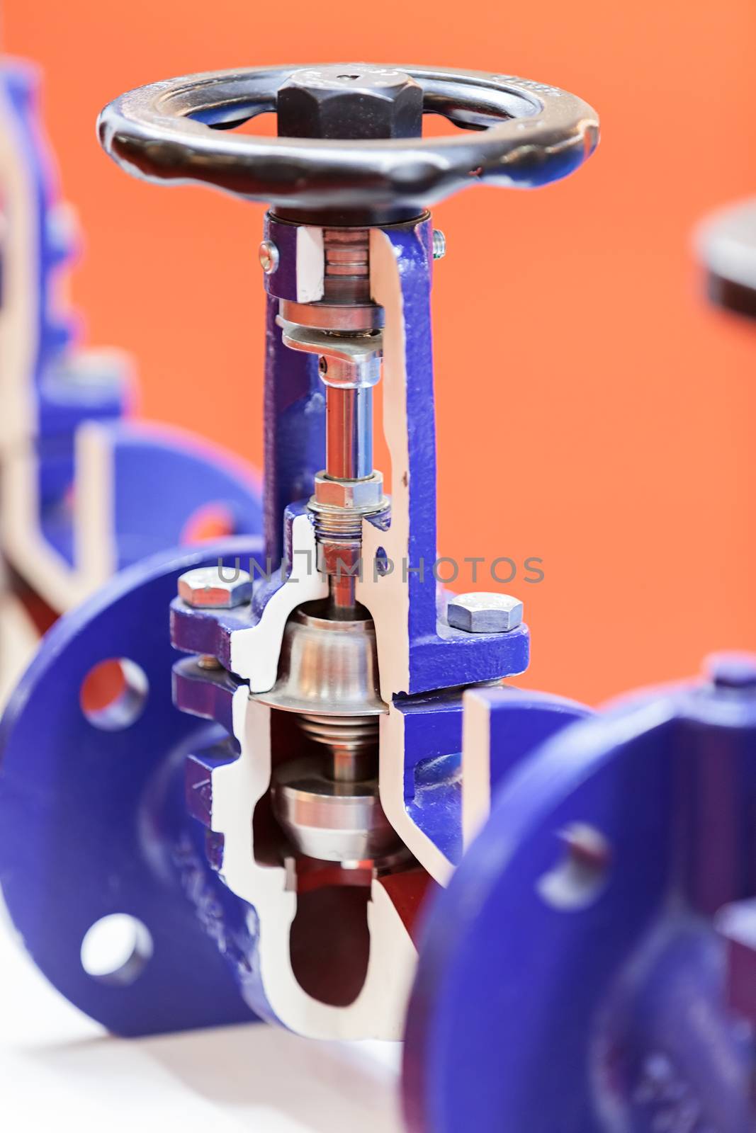 section of double eccentric control valve for machines , note shallow depth of field