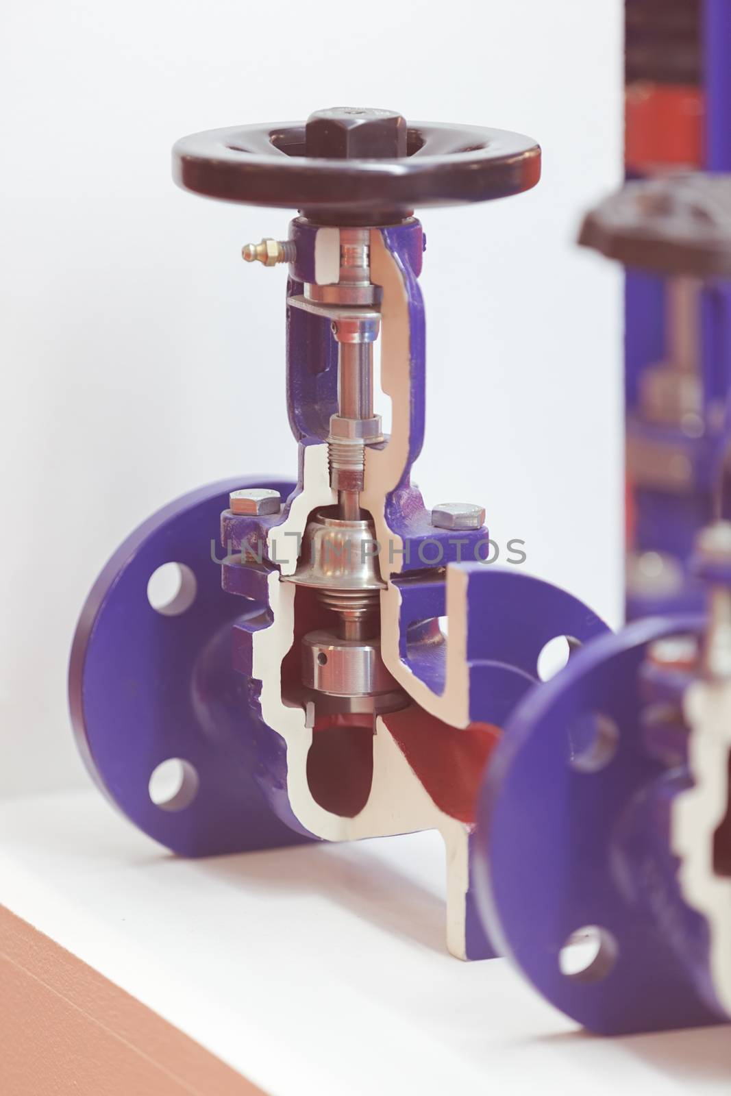 section of double eccentric control valve for machines , note shallow depth of field