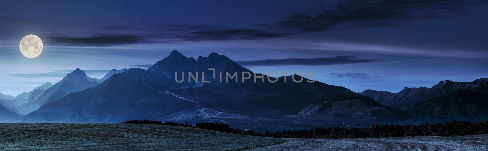 panorama of Tatra mountains in haze behind the forest and rural field at night in full moon light