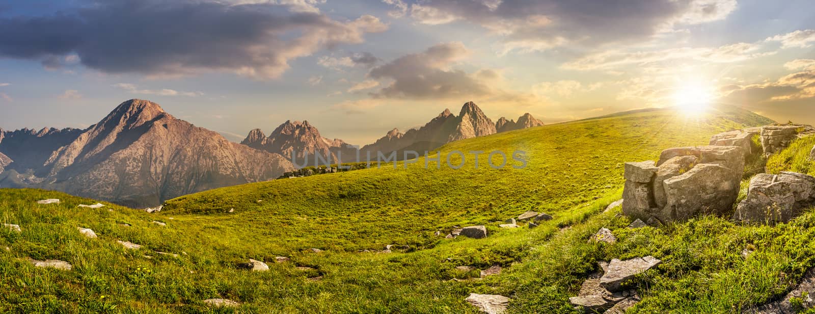 Hight Tatra mountain summer landscape. meadow with huge stones among the grass on top of the hillside near the peak of mountain range at sunset