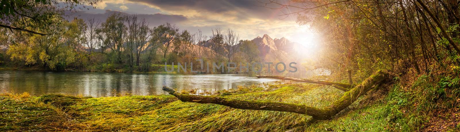 mountain river with fallen tree on the shore at sunset by Pellinni