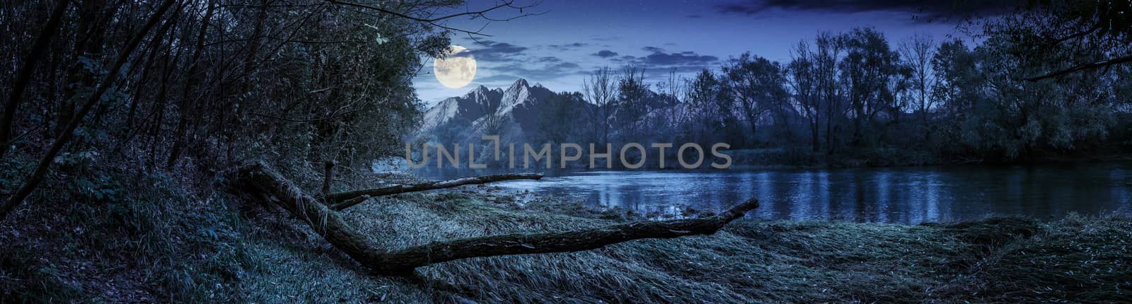 Composite landscape with river and falen tree on the shore in the forest in High Tatra Mountains at night in full moon light