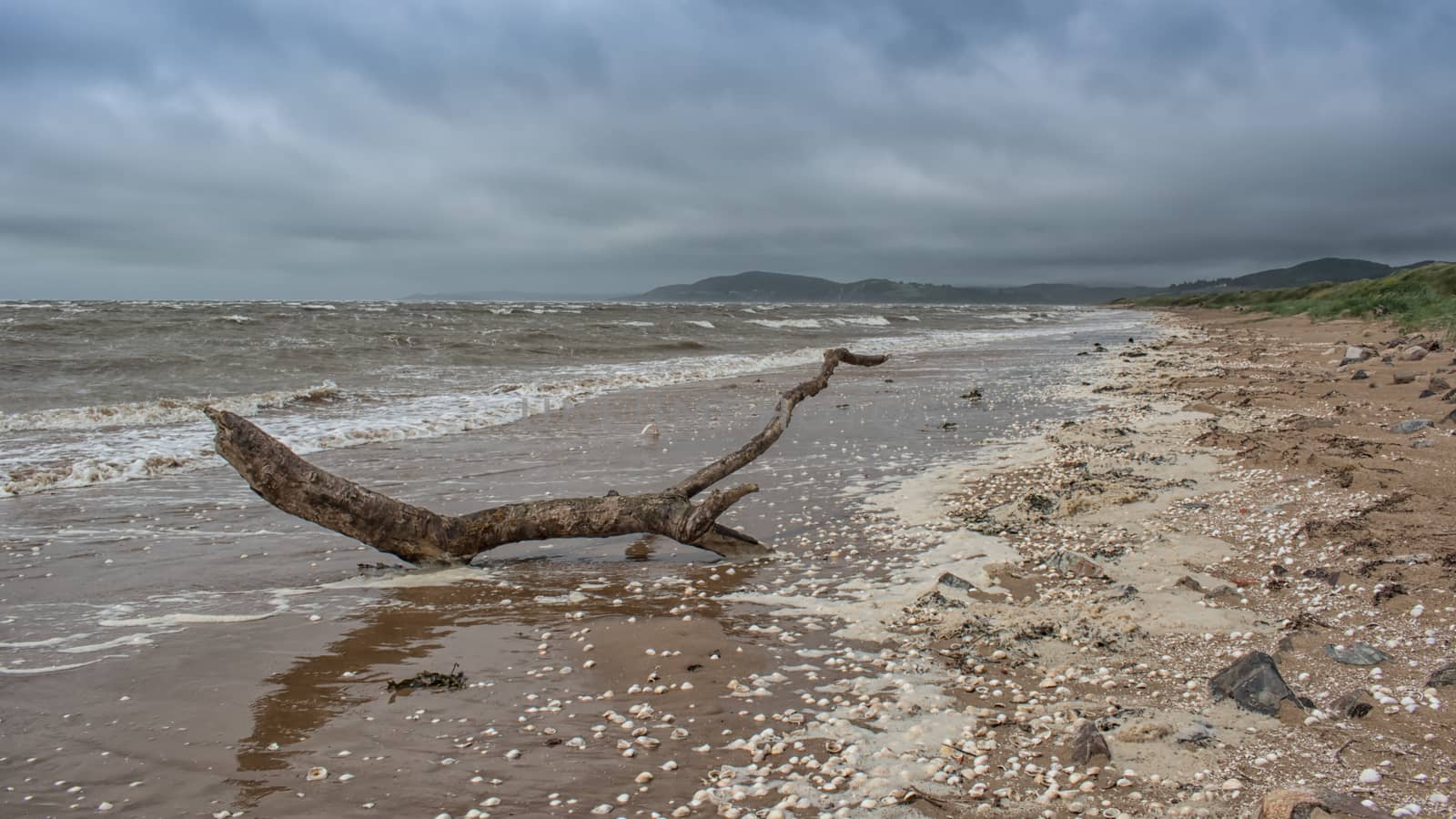 Seascape of a piece of driftwood on a deserted beach with a stormy sky on the west coast of scotland