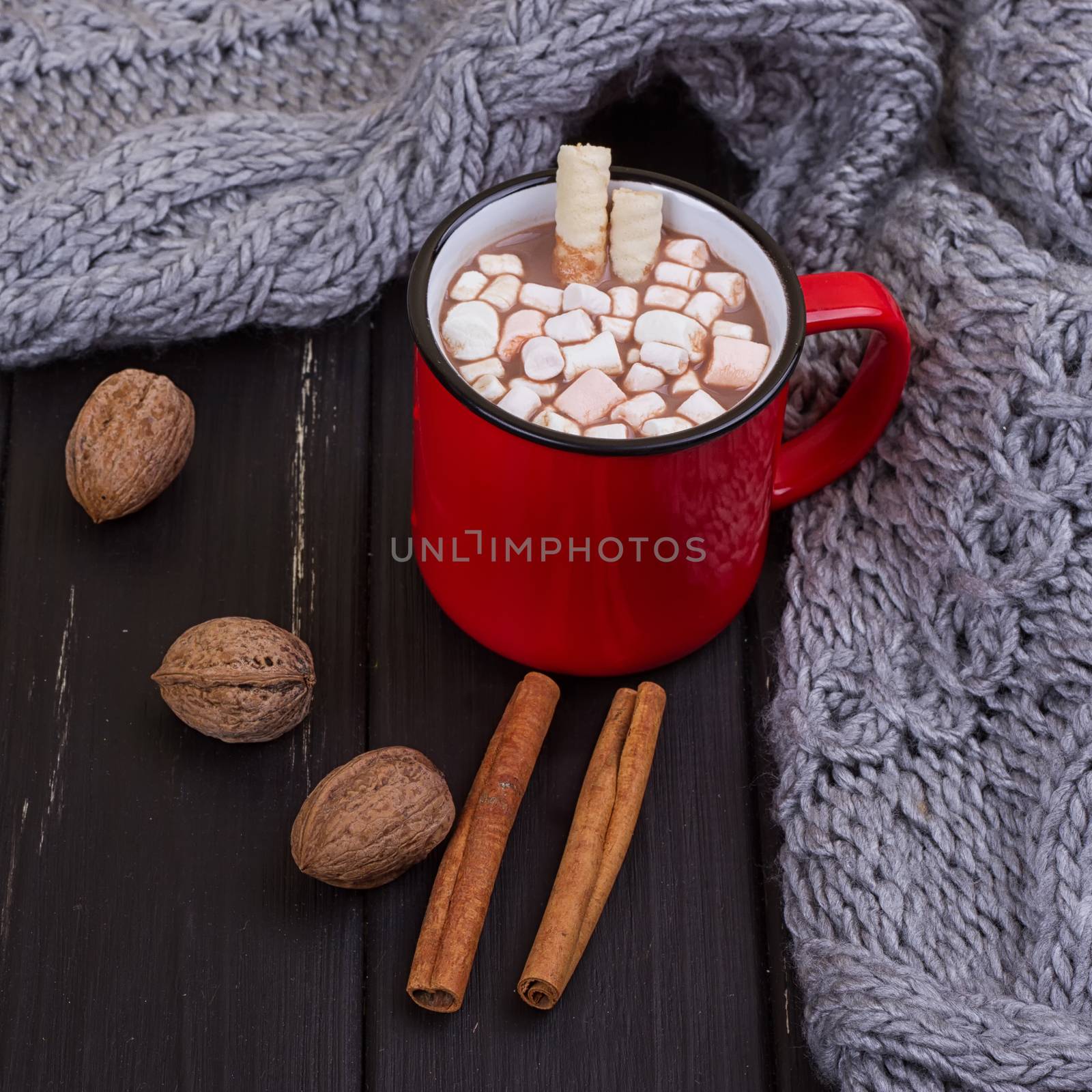 Hot cocoa with marshmallows with spices by victosha