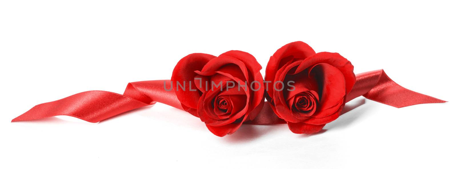 Two heart shaped red roses and ribbons isolated on white background, Valentines day