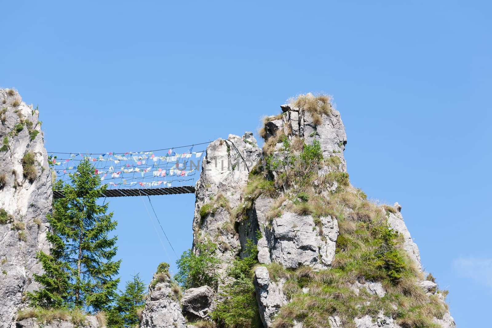 Tibetan bridge along a mountain trekking path, Italian Alps,