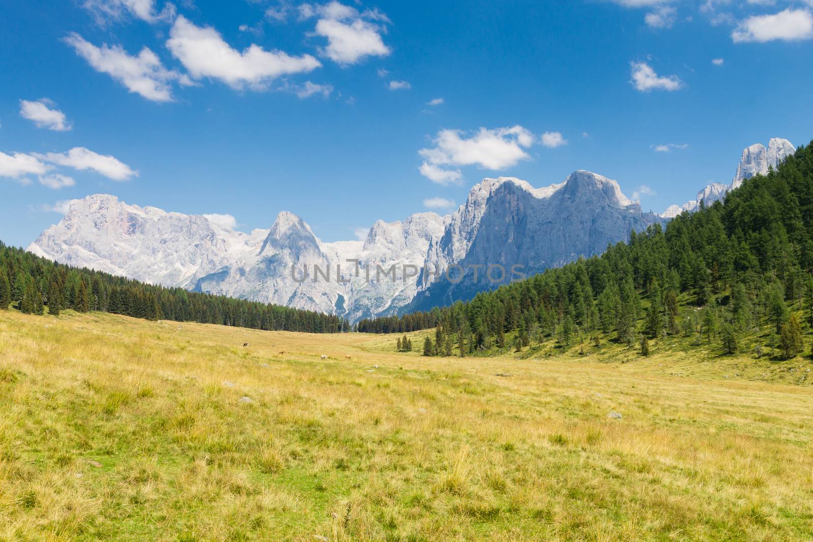 Beautiful alpine panorama, group Pala of dolomites from Calaita lake, Italian landscape