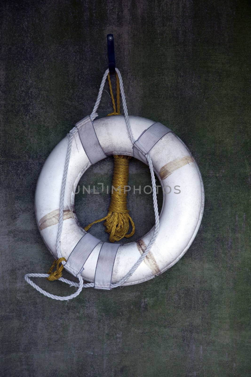 Vertical image of a white life preserver on a wall
