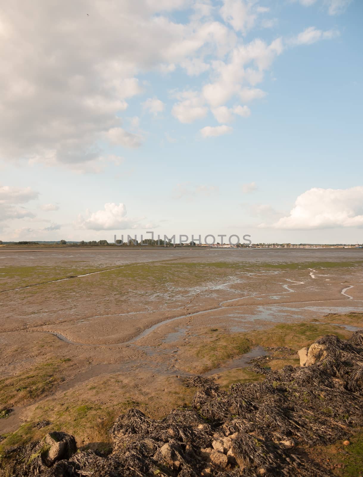 black water mudflats groove water tide out dock moored boats in distance;Essex; England; UK