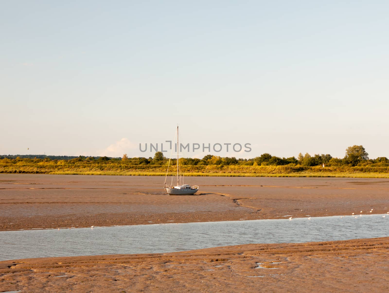 a moored little vessel boat at edge of river stream Maldon black water ;Essex; England; UK