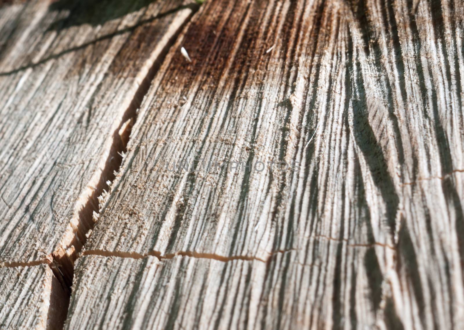 close up rivet wood grain texture cracks grooves; Essex; England; UK
