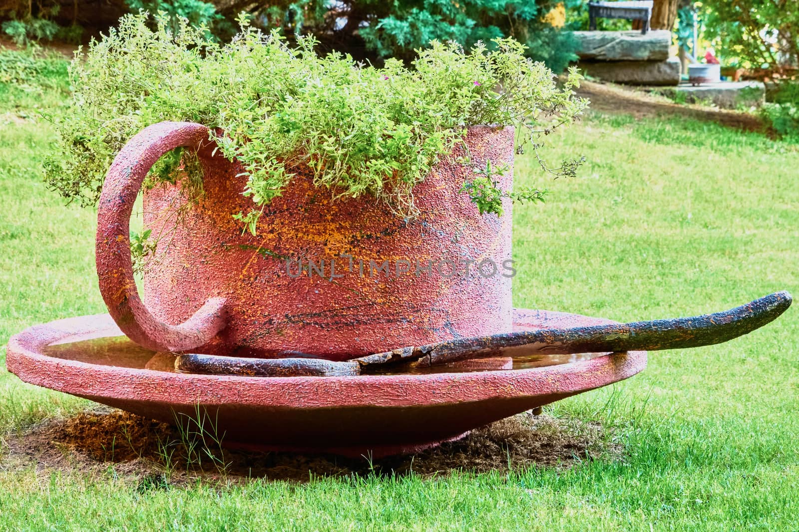 Garden sculpture cup and saucer on a green glade                               