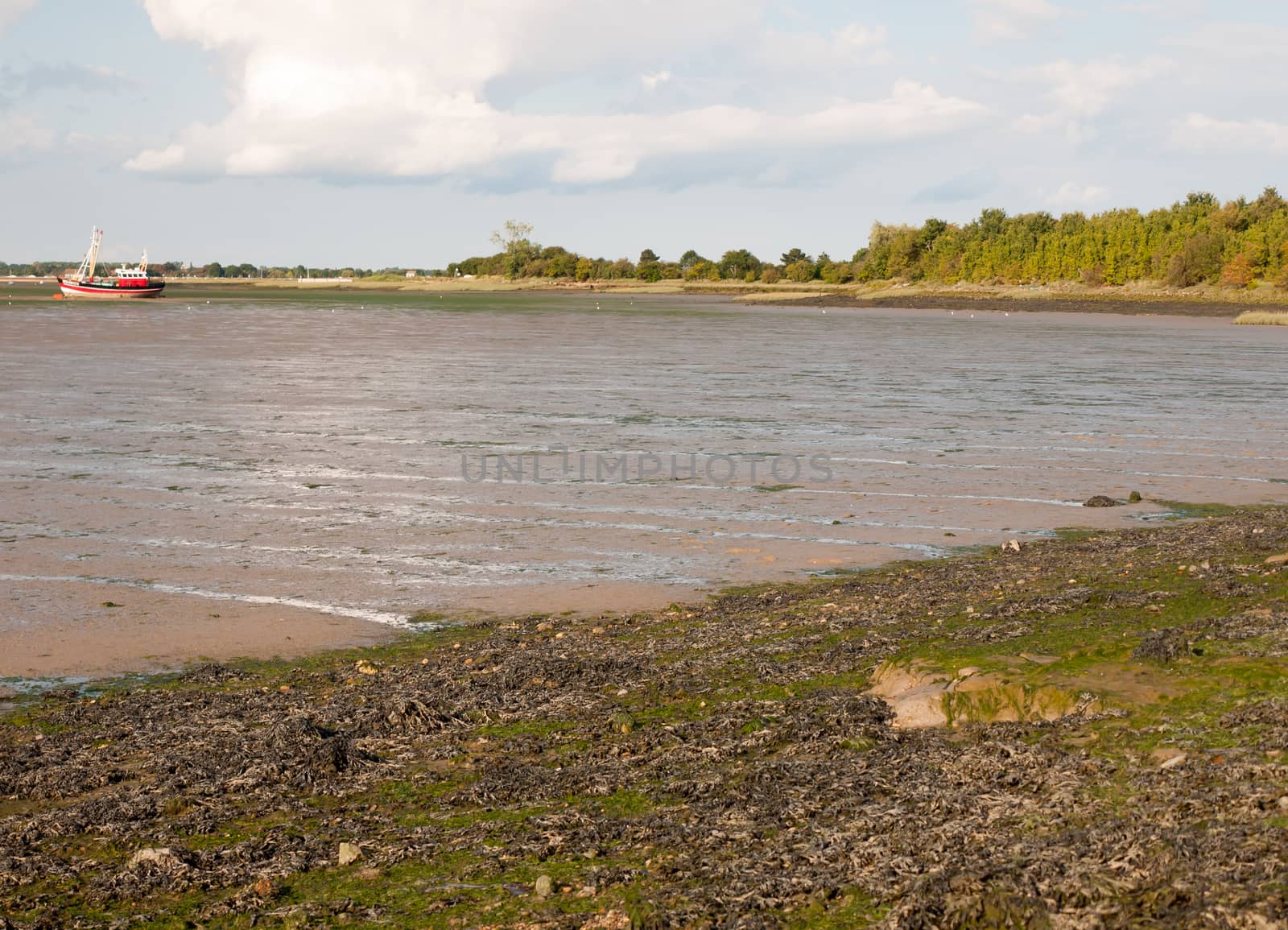 texture of mud flats with tide out black water Maldon;Essex; England; UK