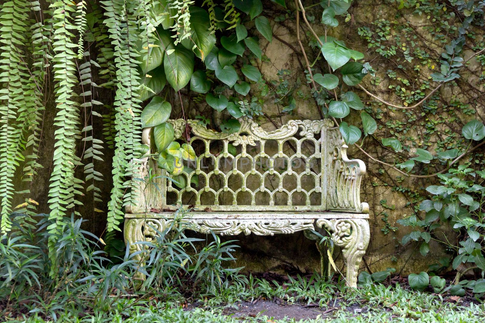 Bench in the garden