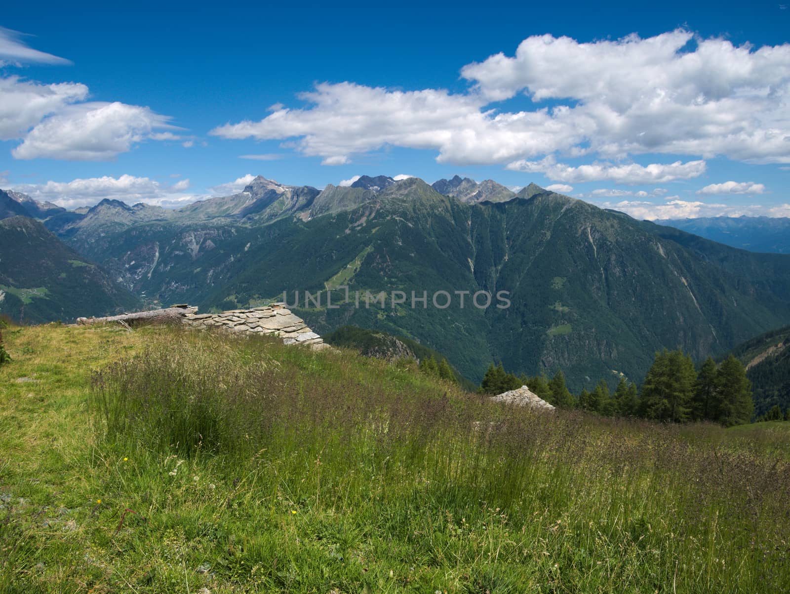 Mountains landscape in spring in Valtellina
 by gigidread