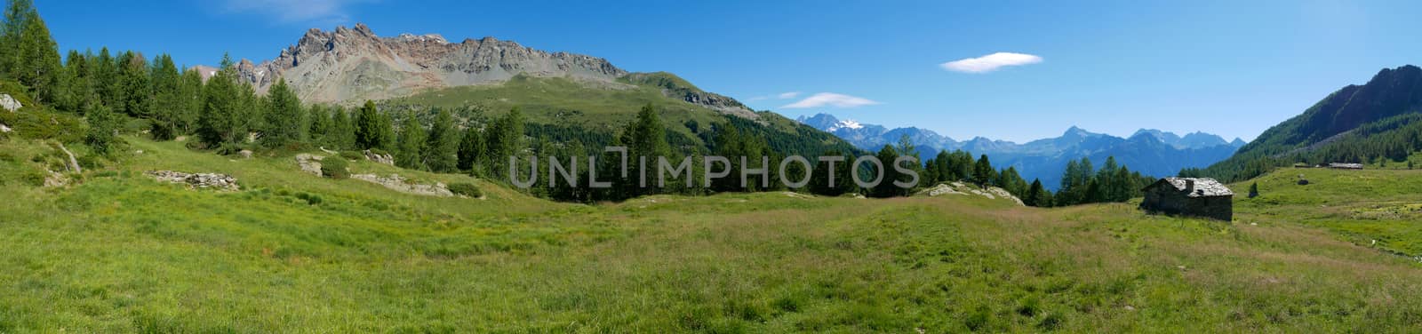 Alpine landscape in summer in Valmalenco, northern Italy
