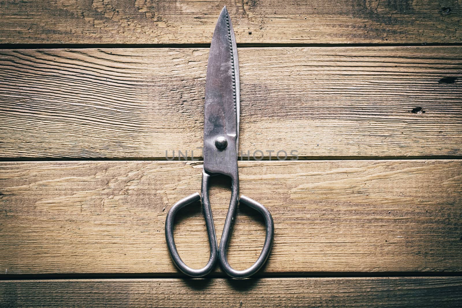 Group of  old oxide vintage tools. Scissors