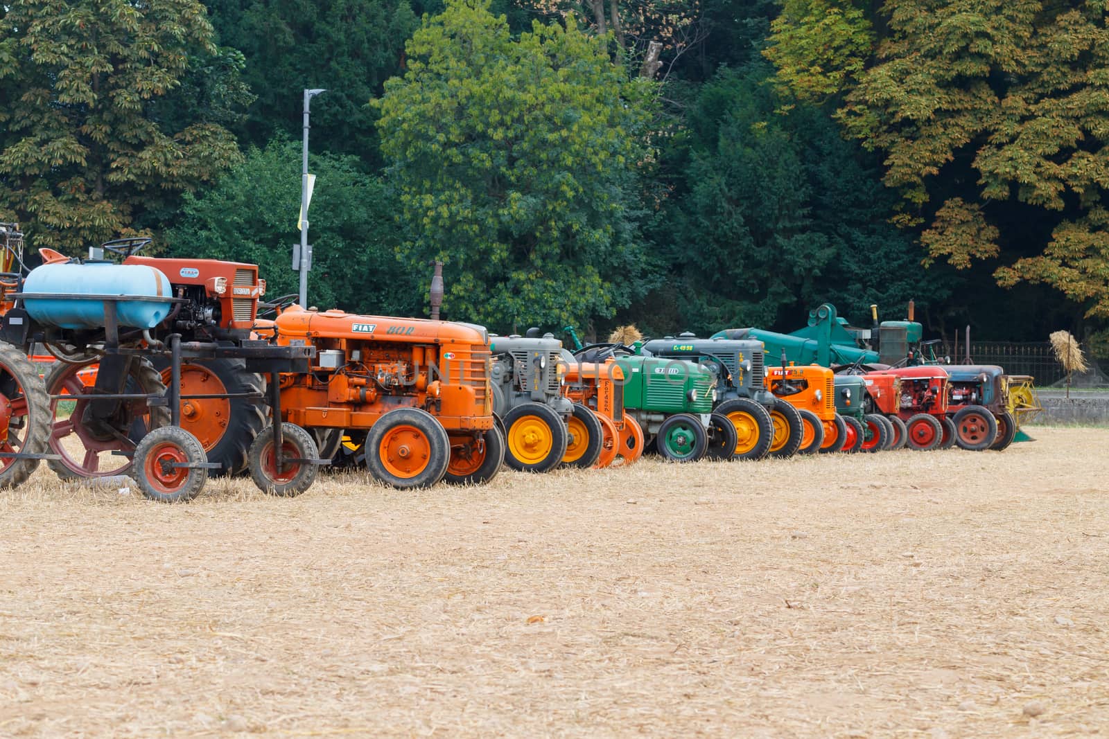 Old tractors by elleon