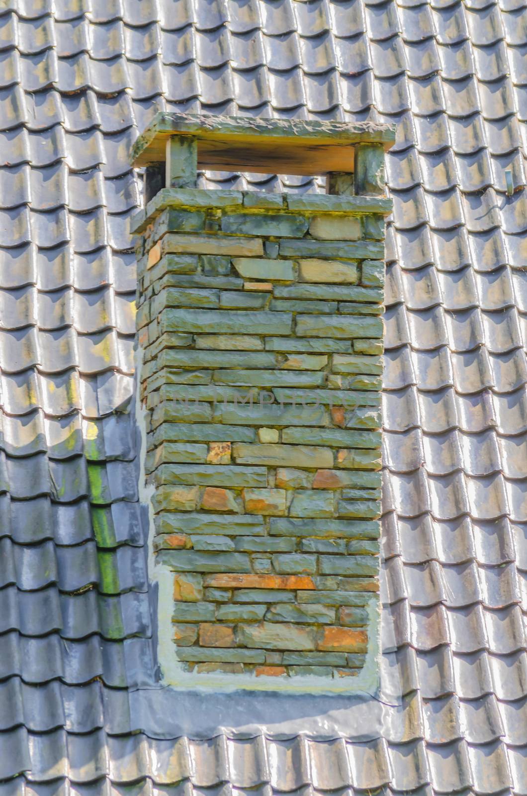 Chimney made of bricks on an old dirty roof. A tree grows from the fireplace.