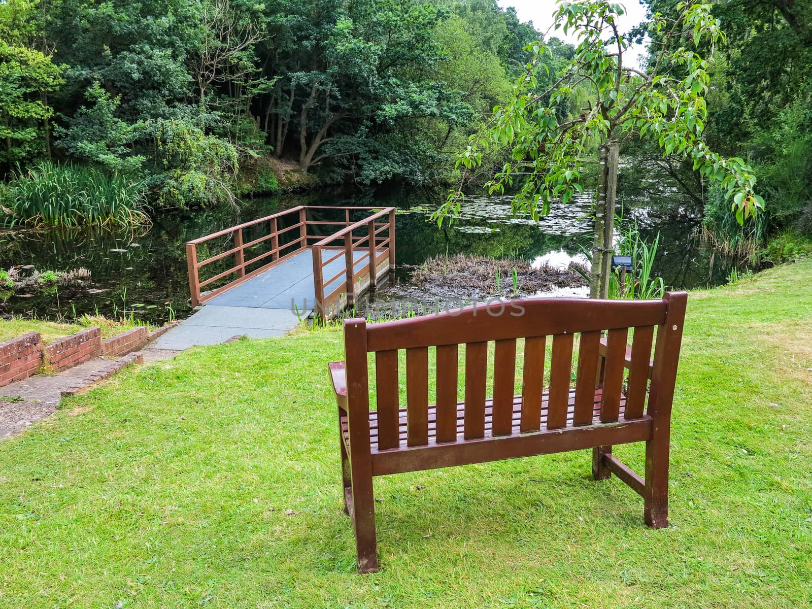 An empty wooden bench overlooking a pond in the UK
