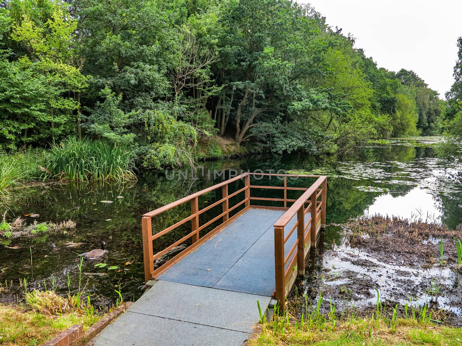 A small dock over a lake with trees surrounding