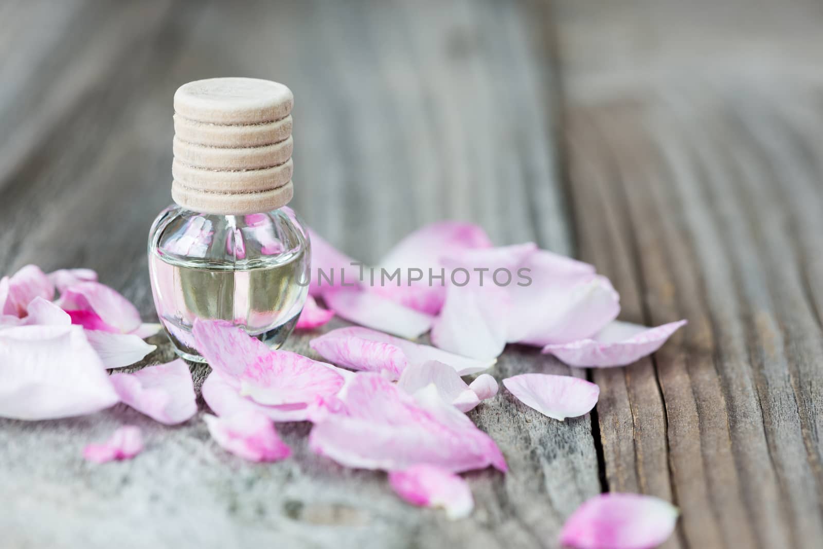 Glass vial with rose essential oil and petals of pink rose on a wooden background