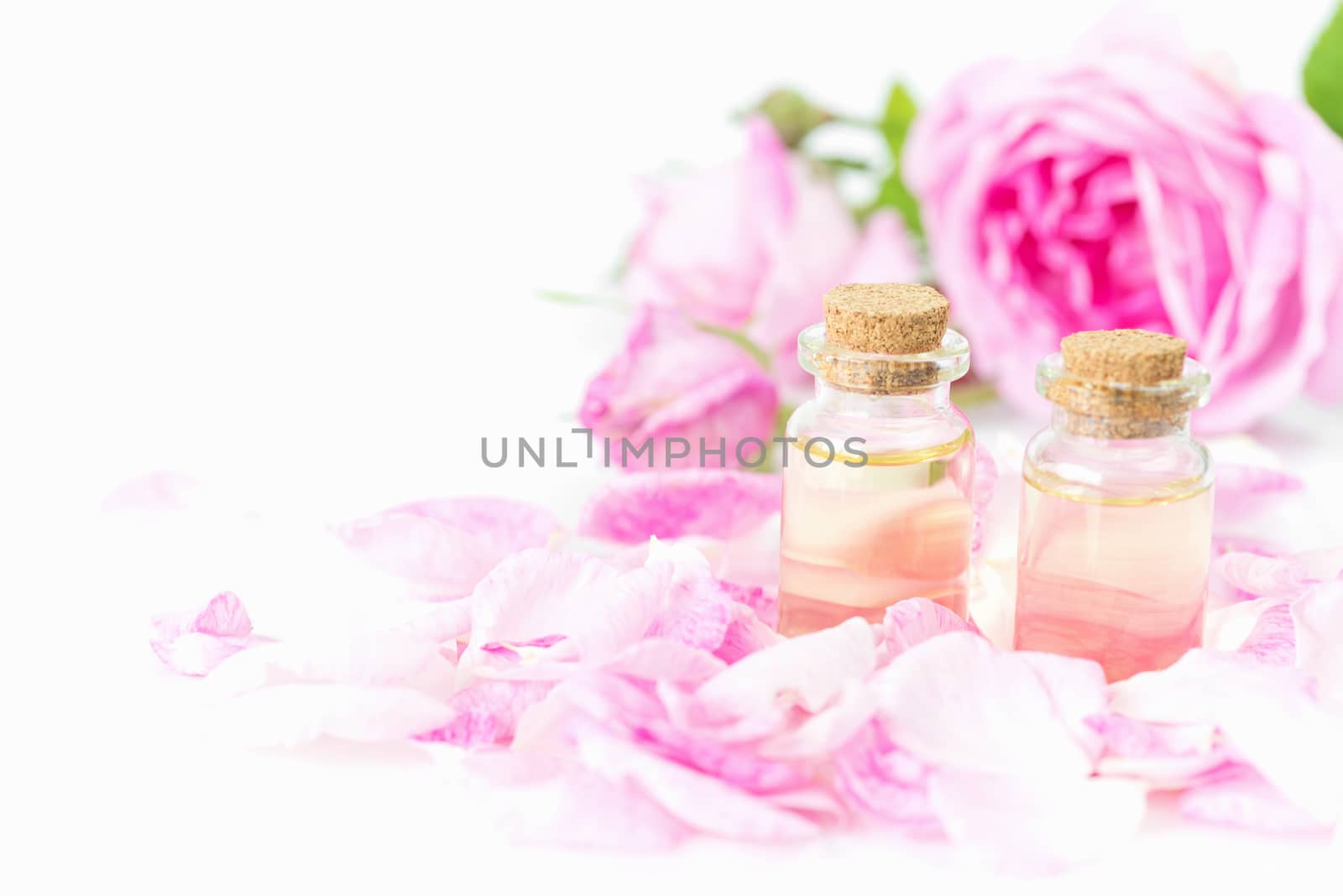 Two vials of rose essential oil, pink roses and rose petals isolated on a white background