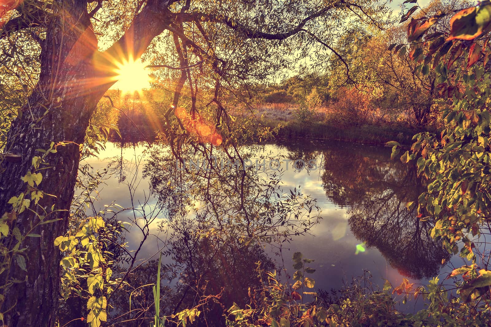 Colorful autumn landscape on a sunny day with trees with water and clouds
