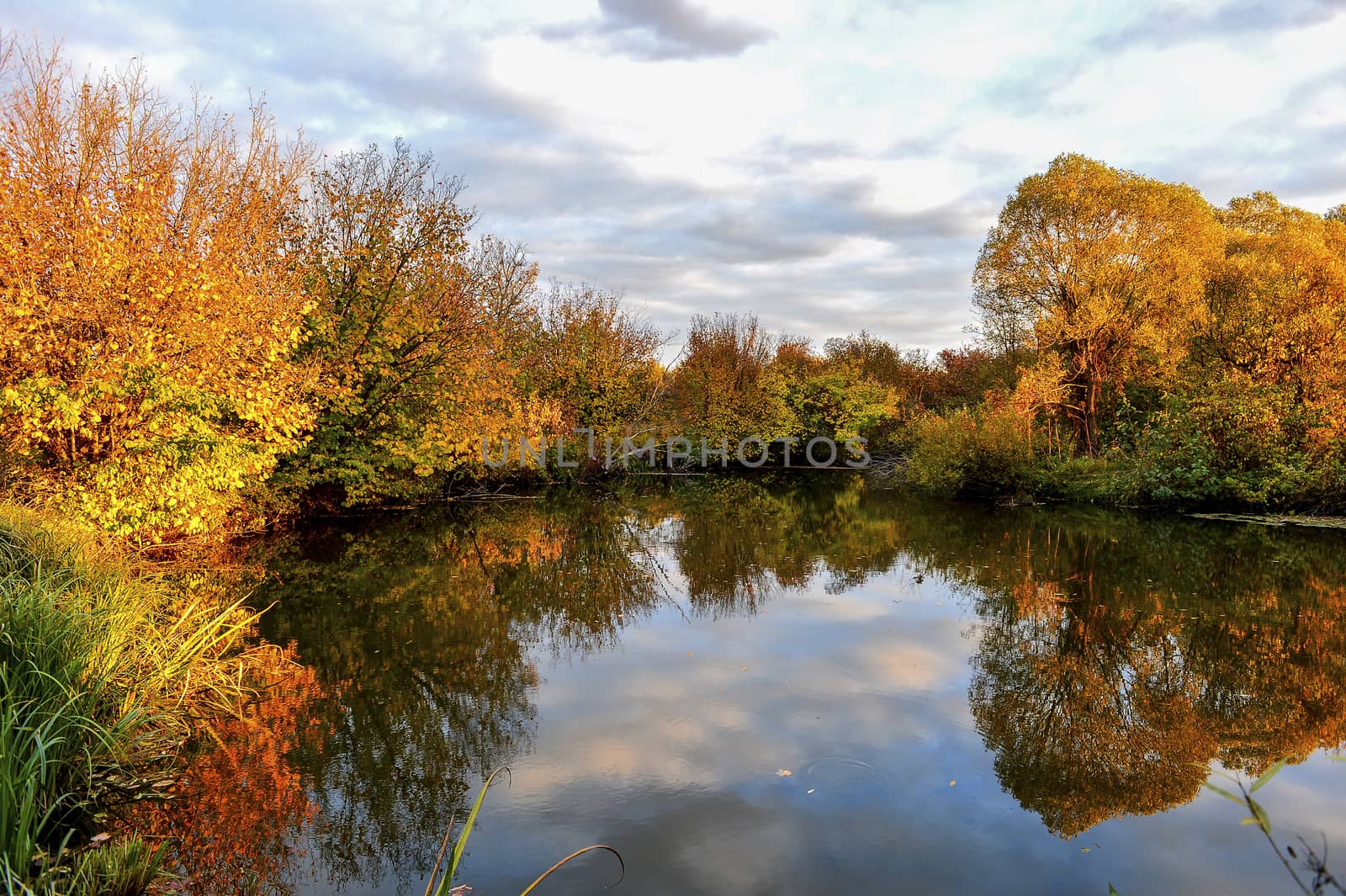 Colorful autumn landscape on a sunny day with trees with water and clouds