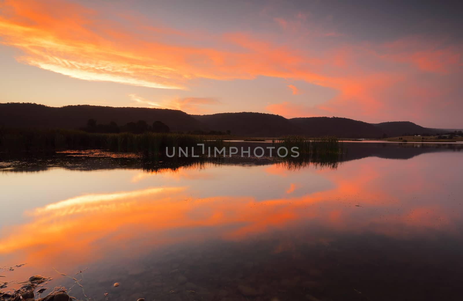 Splendid vivid colours and mirrored reflections in the lake.   Location Boorooberongal Lake Penrith Australia