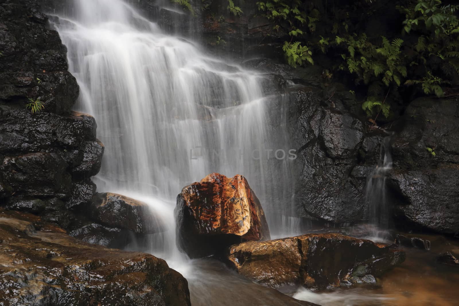 Edith Falls, Valley of the Waters Creek, Blue Mountains National Park, New South Wales (NSW), Australia