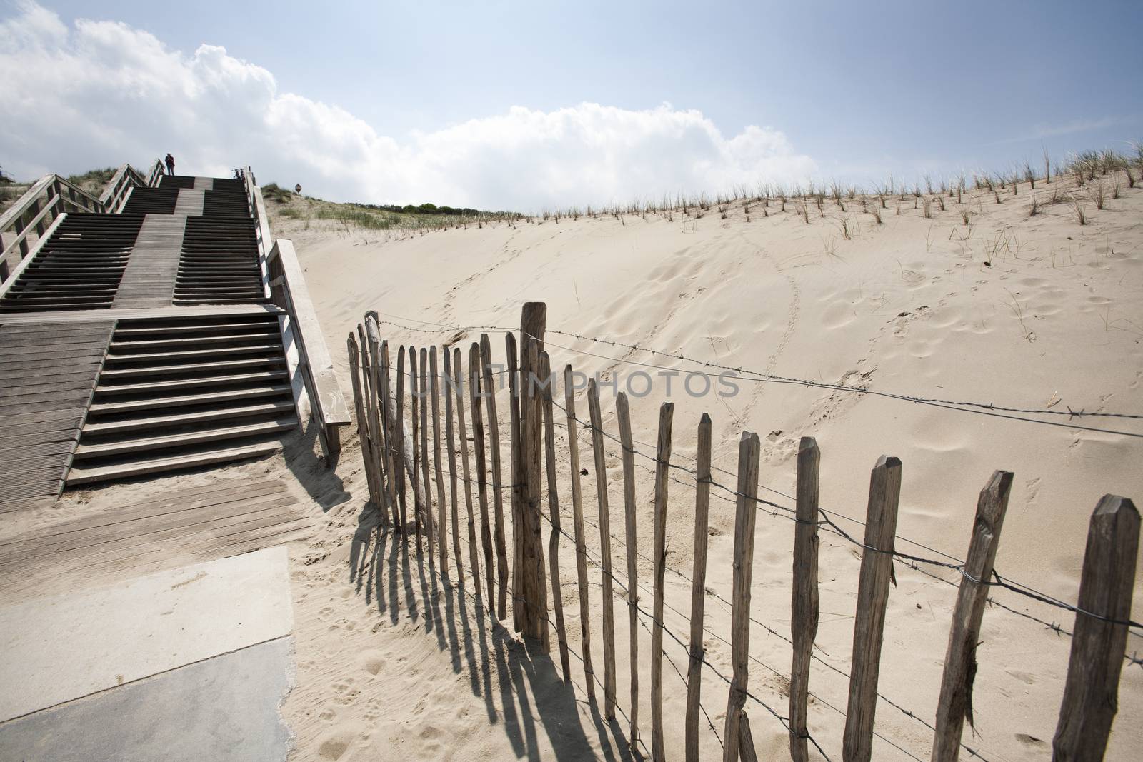 Staircase in the dunes of The Hague in the Netherlands