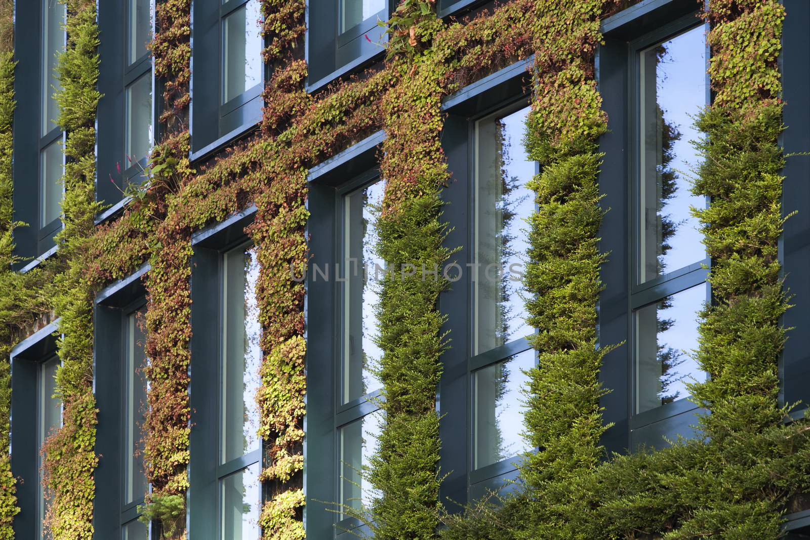 Building with green ecological wall covered with plants in Rotterdam in the Netherlands