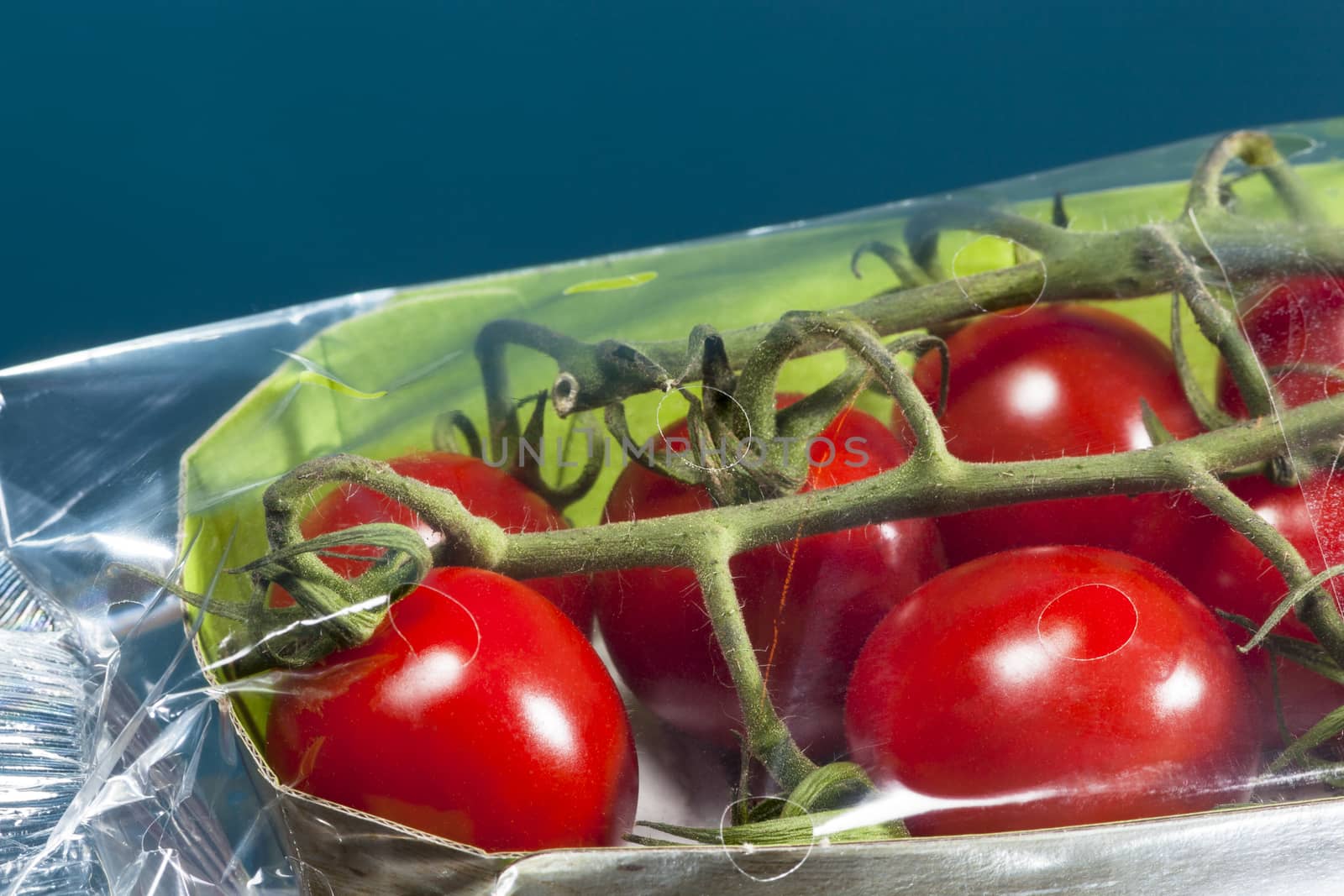 Closeup of packaged  tomatoes in plastic with a blue background