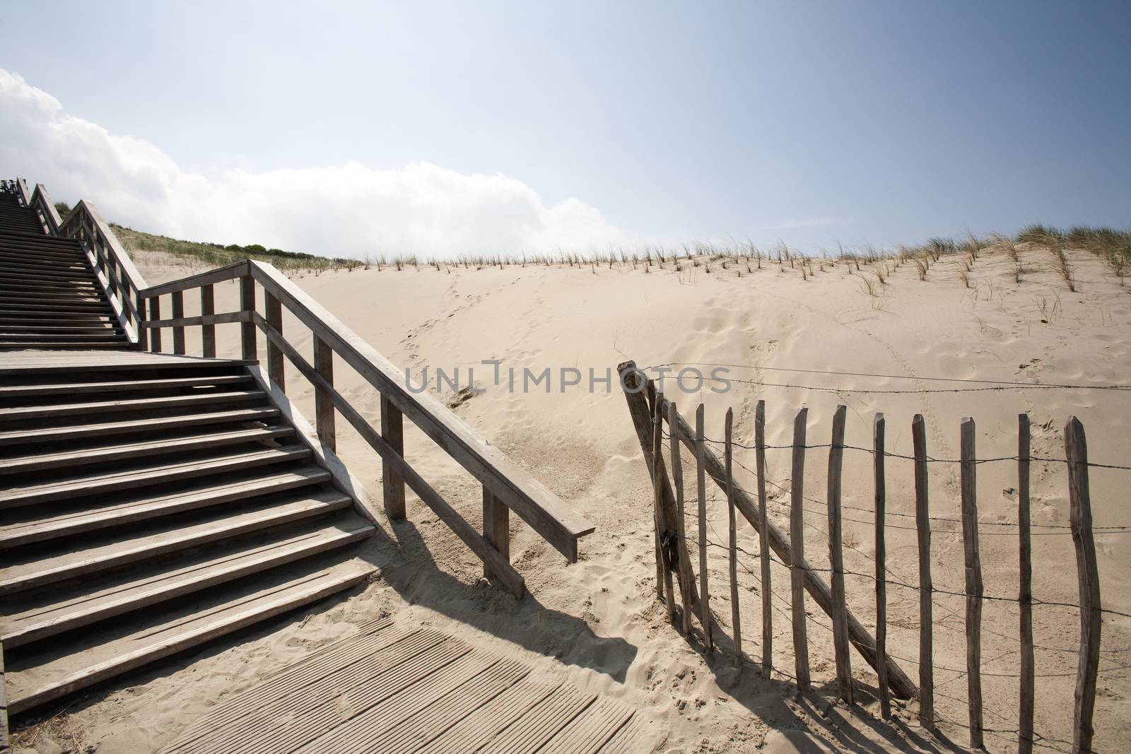 Staircase in the dunes of The Hague in the Netherlands