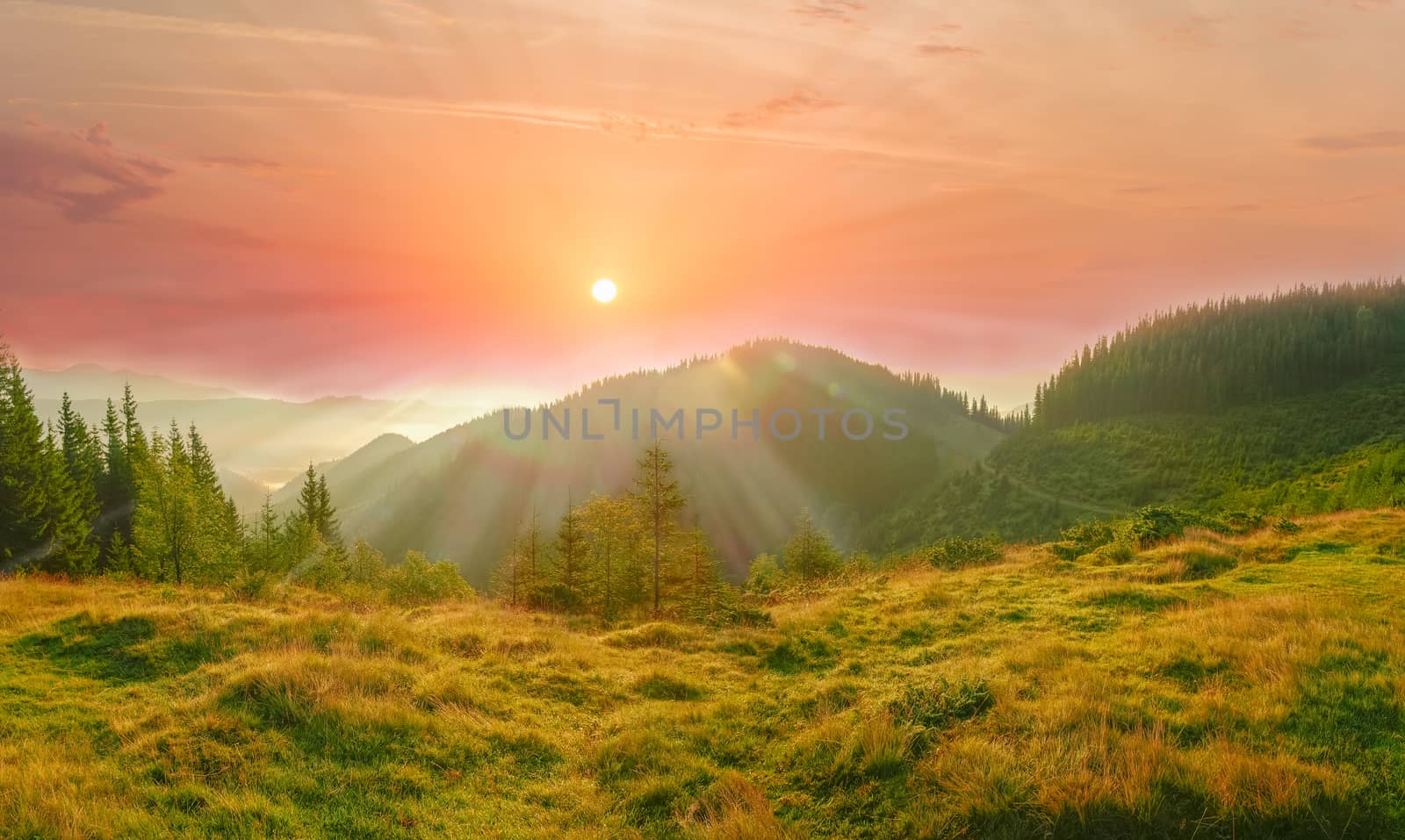 Carpathian landscape with mountain meadow in the foreground against the background of mountain range overgrown with forest and sky with rising sun and clouds
