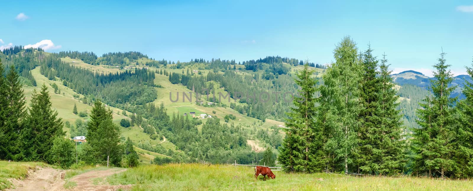 Carpathian landscape with mountain village on a hillside by anmbph