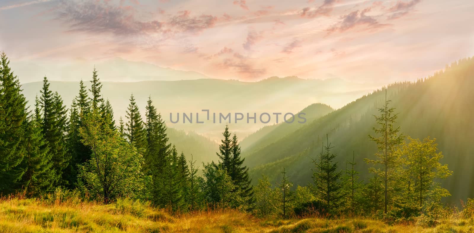 Panorama of the mountain valley with fog at sunrise by anmbph