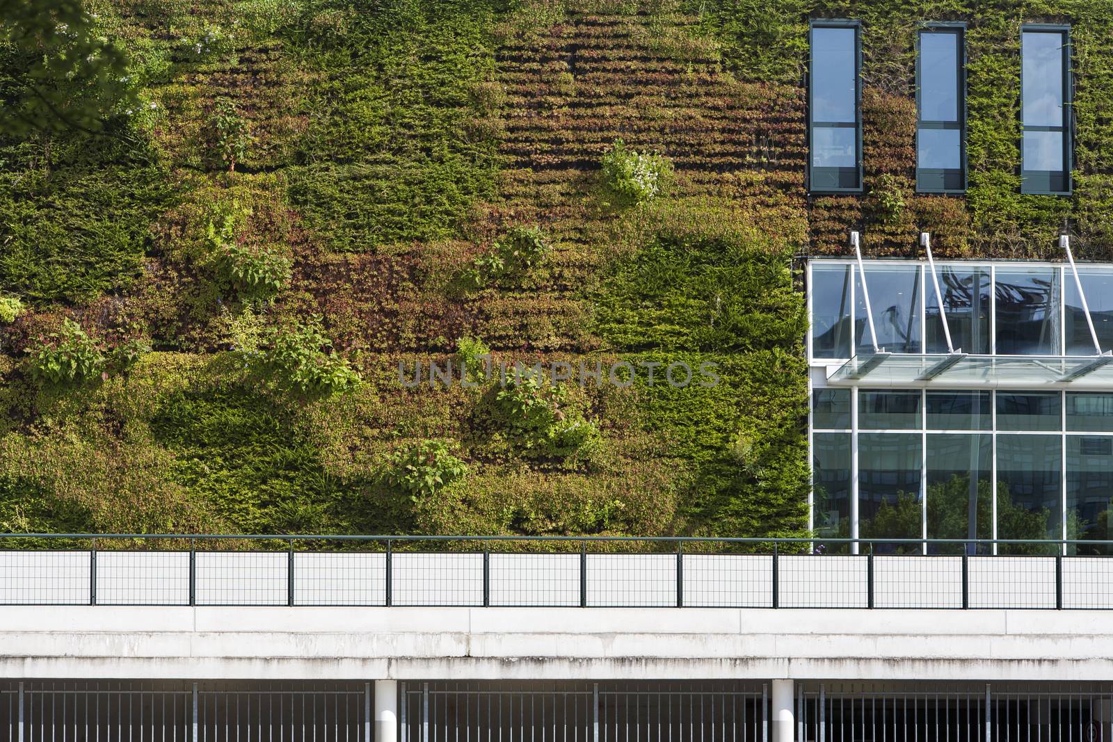 Building with green ecological wall covered with plants in Rotterdam in the Netherlands