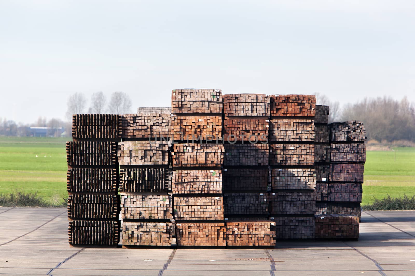 Industrial storage of piles hardwood