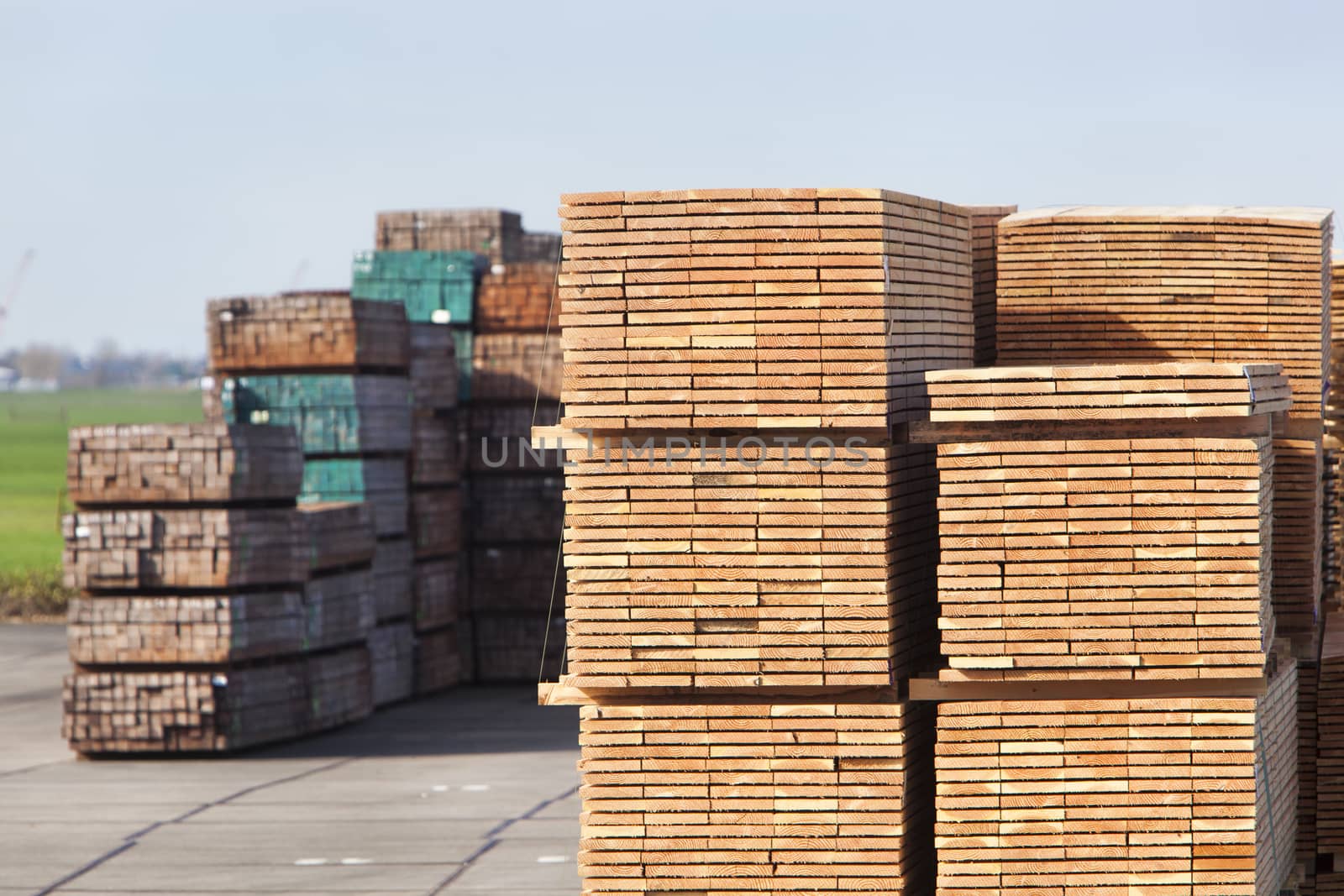 Industrial storage of piles wood for the construction industry