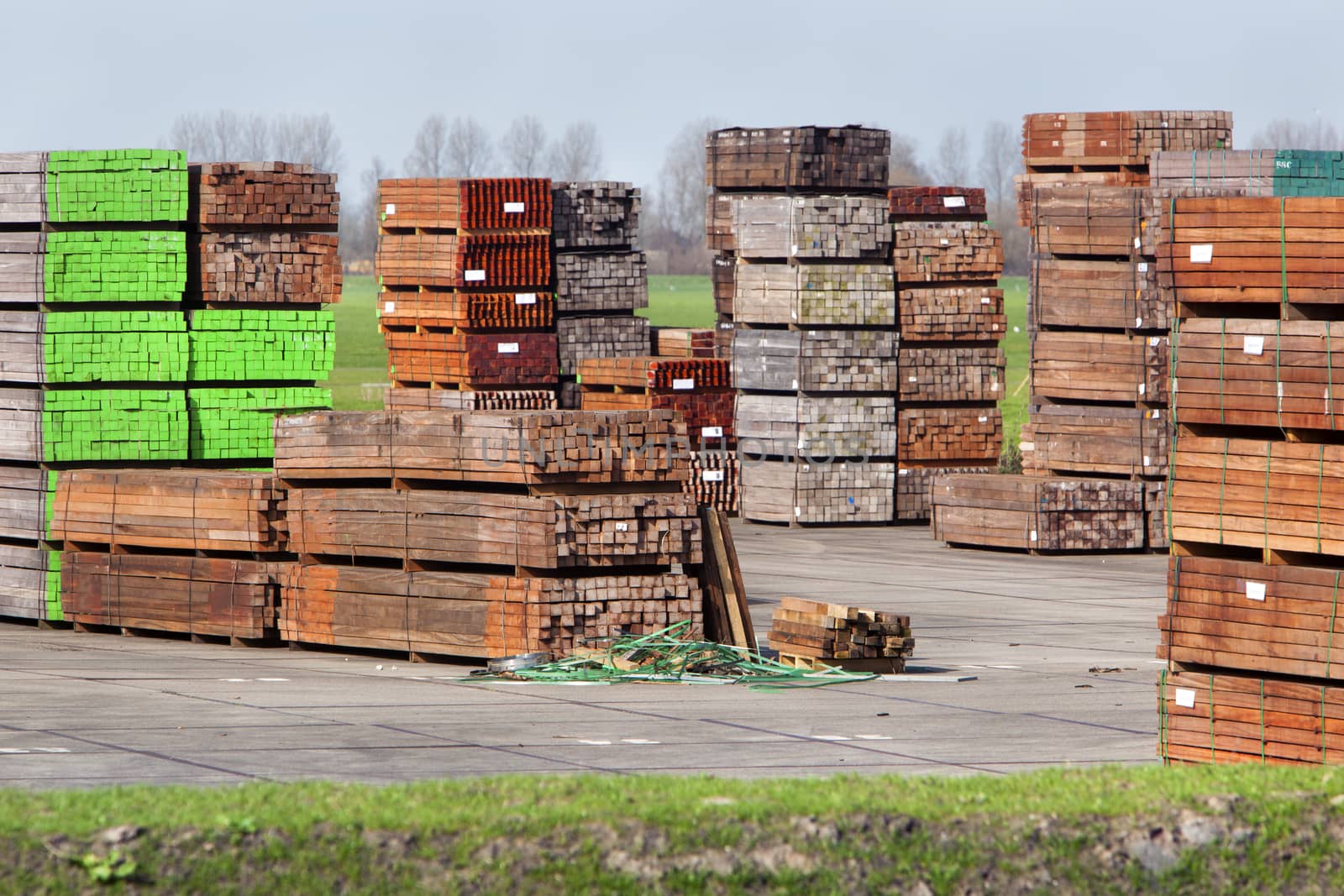 Industrial storage of piles hardwood