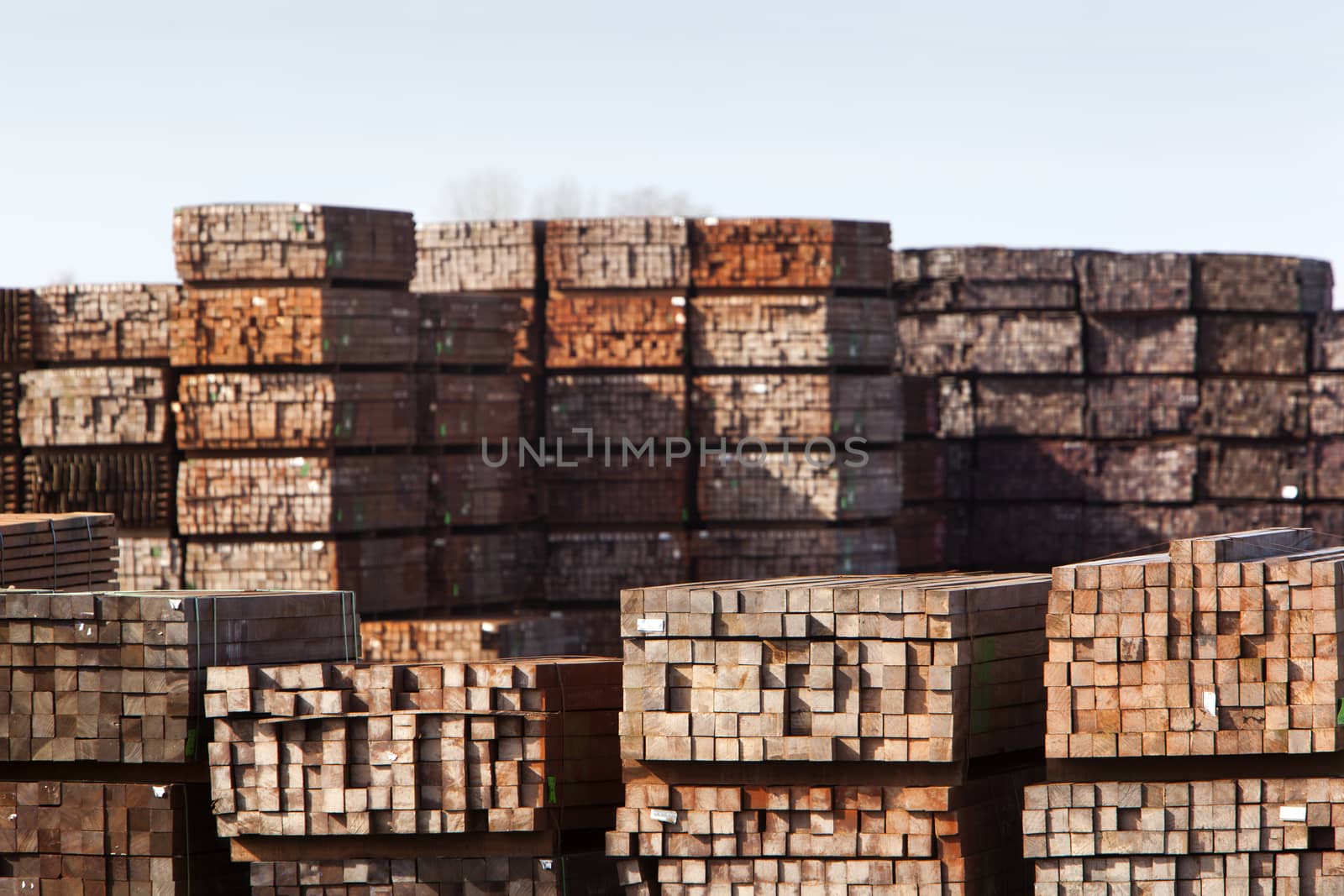 Industrial storage of piles hardwood