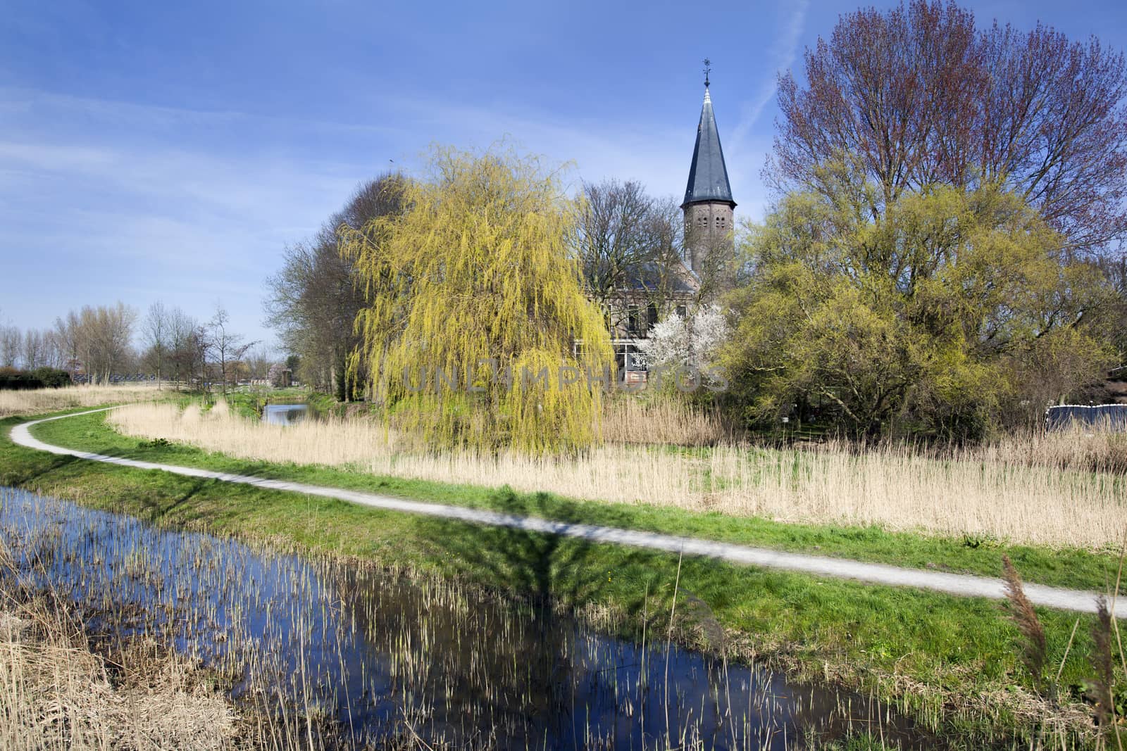 Footpath with church Jacobuskerk in village Kethel in the Netherlands