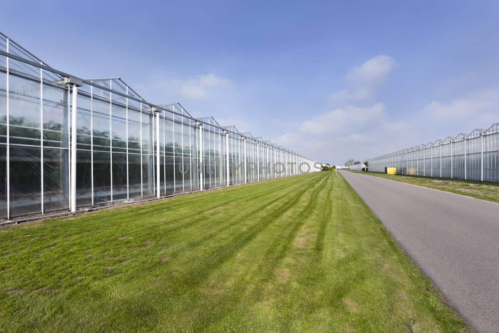 Greenhouses and an asphalt road in Westland in the Netherlands