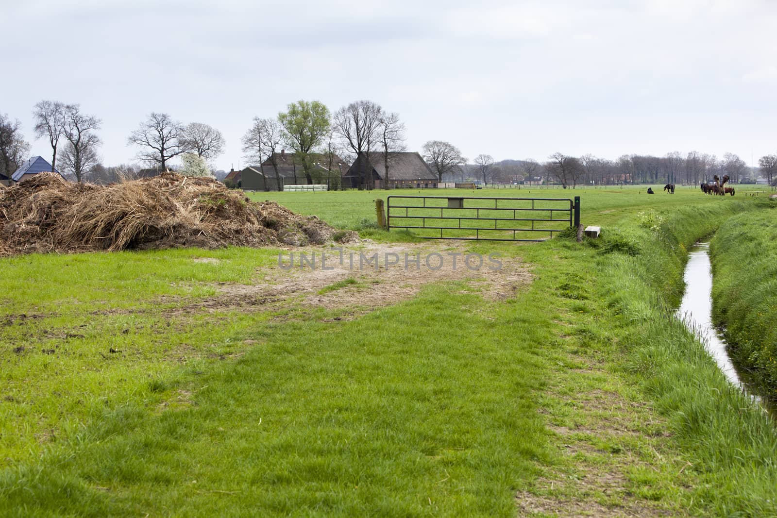 Rural landscape with pasture and farm with a public footpath on the right side of the fence in Nunspeet in the Netherlands