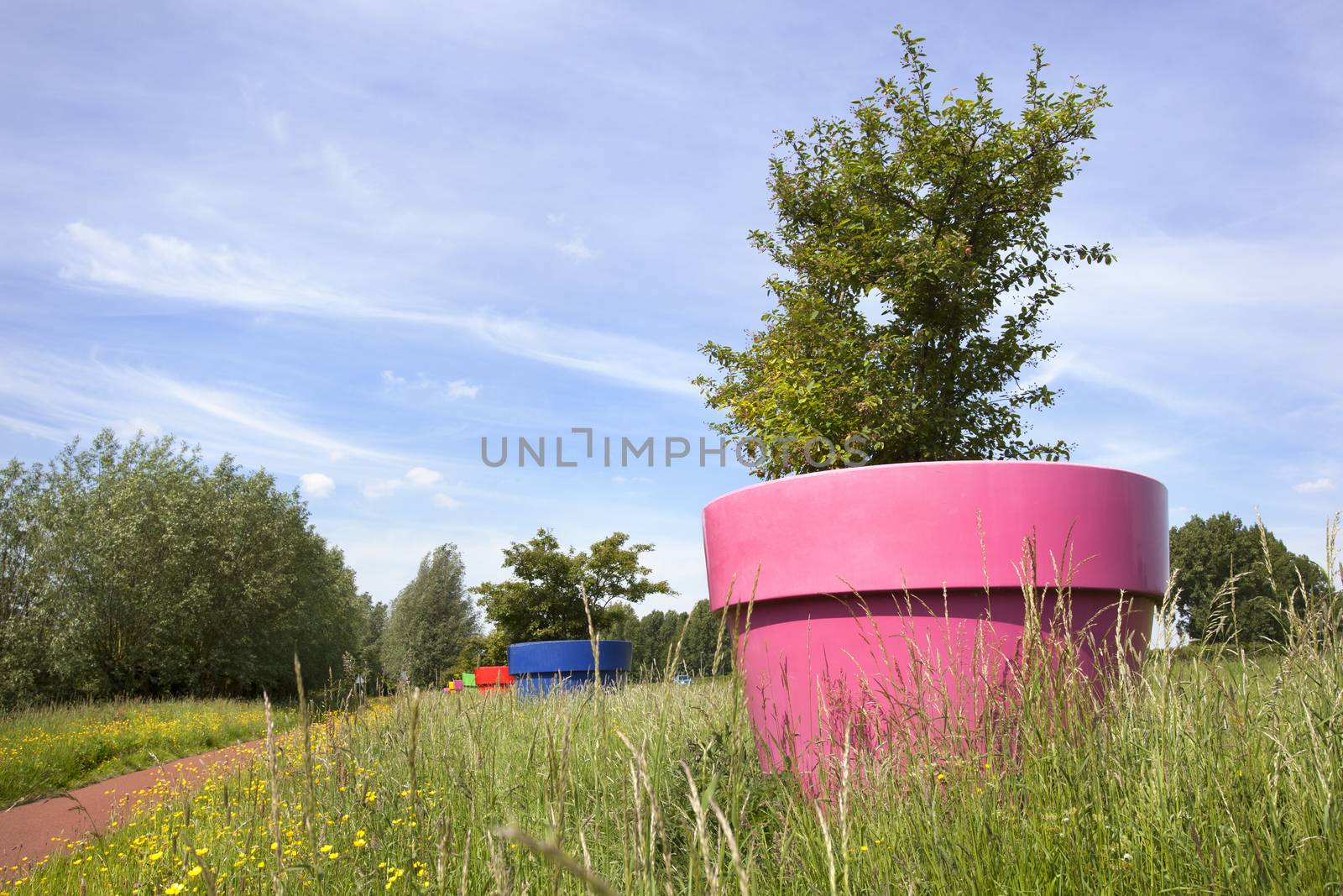Huge colorful flowerpots along a bicycle path in the Netherlands