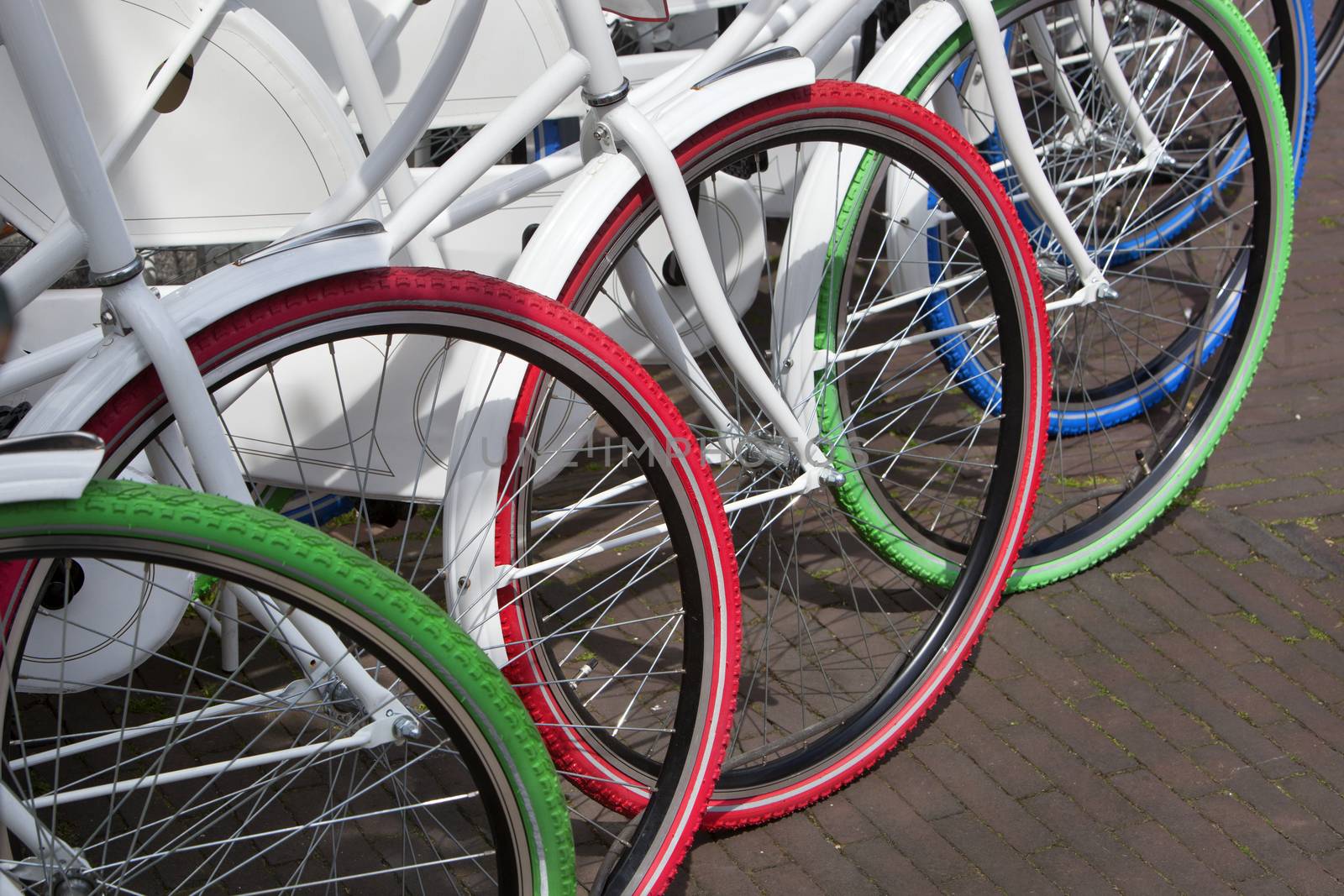 White bicycles with colorful tires in a row in the Netherlands